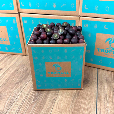Red Muscadine Grape Box